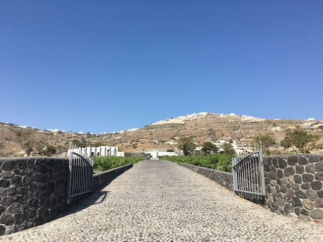 Borászat Santorini
