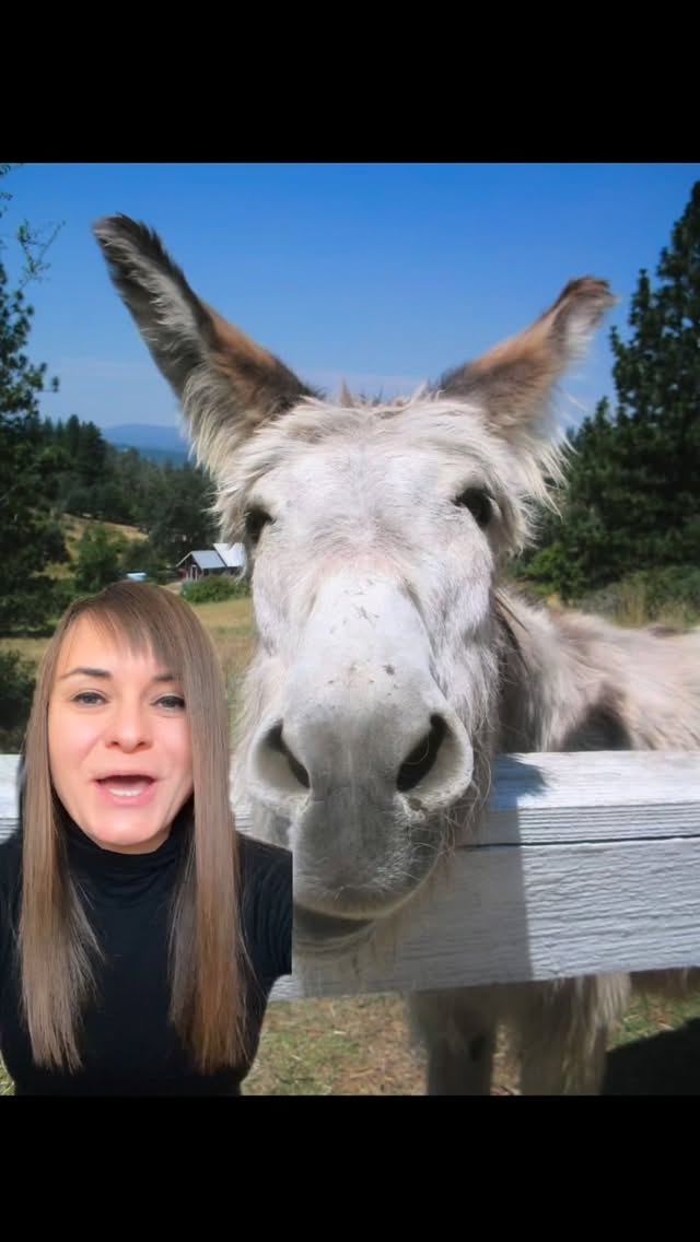 Mit csinálj a családdal Krétán, ha nem csak a tengerparton heverésznél? Íme egy program, amit imádni fogtok. #kreta #nyaralas #allatbarat #görög #Görögország utazas